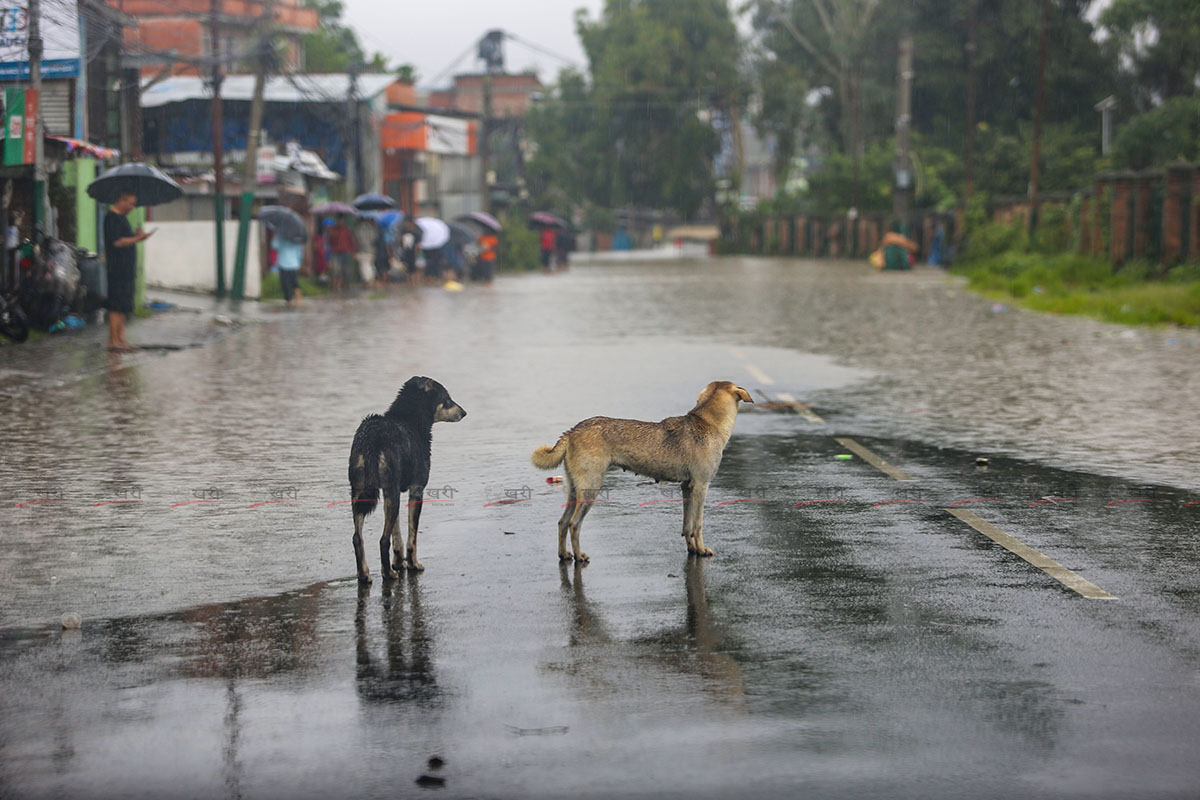 jeevan_flood_12khariphoto (13)1691483278.jpg